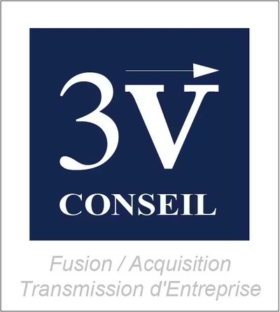 3V Conseil